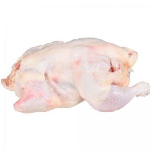 Frozen Turkey Meat/Goose Meat