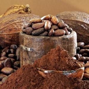 100% Natural Organic Cocoa Seed Extract Cocoa Powder in Bulk