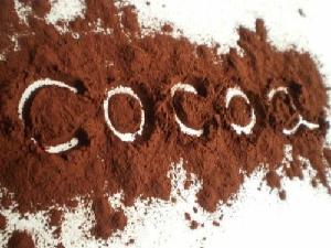 Raw Organic Cocoa Powder Available for Food & Beverages