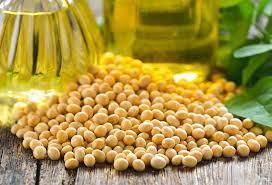 Refined Soybean oil for sale