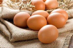 Bulk Fresh Table Chicken Eggs For Sale