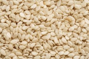 SESAME