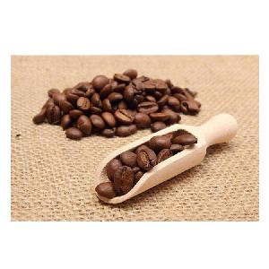 Premium Coffee Bean Medium Roasted Made in Viet Nam