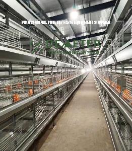 Poultry Equipment H Type Broiler Rearing Chicken Cage