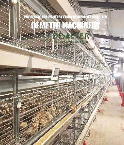 H type automatic broiler chicken rearing cage for modern poultry farm