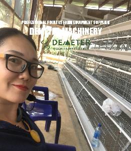 Egg layer cage battery cage system for  poultry  farm