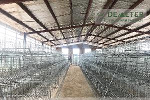 Egg laying poultry battery chicken cage price factory