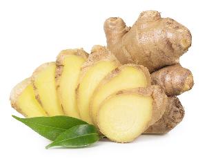Factory direct supply fresh ginger for sale