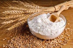 Direct supply organic wheat flour for sale