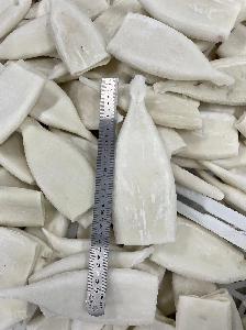 Factory direct frozen squid whole with the best price