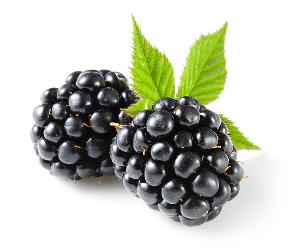 Top Grade Frozen Black berries for sale