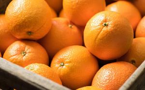 Sweet Fresh Oranges For sale