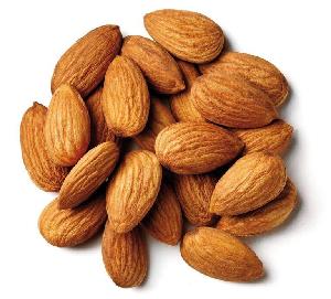 Good Quality Almond Nuts