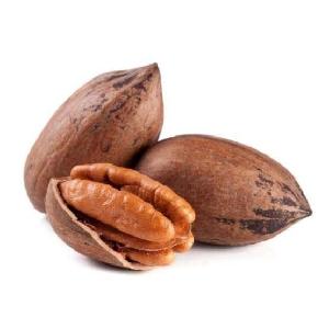 Grade A Pecan Nuts for sale