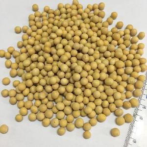 Grade Soybean for sale