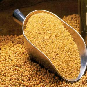 Non  Gmo   Soybean  (Food Type)