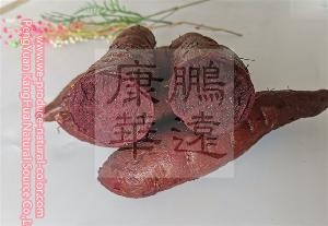 chinese producer beet root red