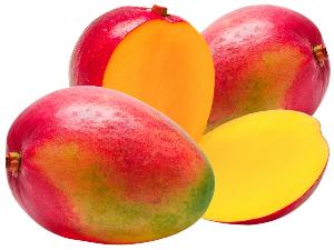 Fresh Kent Mangoes fro PERU Top Exporter of Mangoes