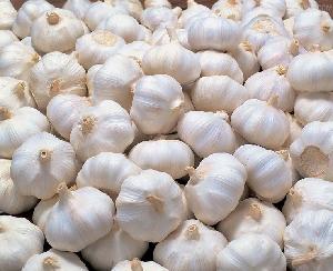 High Quality Fresh Normal White Galic/ Purple Garlic and Red Garlic