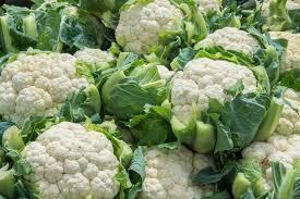 Cauliflower/ Fresh Cauliflower Vegetable / Fresh Frozen Cauliflower