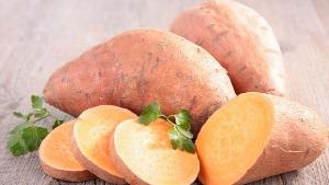 high quality sweet potato