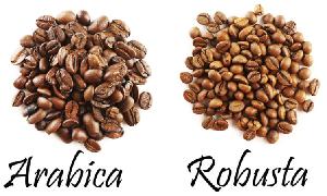 Roasted Robusta coffee beans grade AAA Best Coffee 100% Organic Good Taste