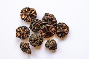 DRIED NONI FRUIT SLICES - GREAT NUTRIENTS HERBAL FOR EXPORT