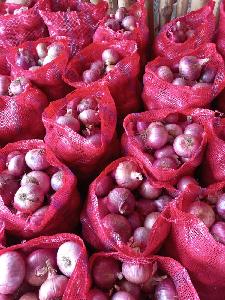 Onion Exporters in India