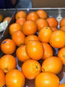 Fresh oranges class 1 sizes 36 to 64