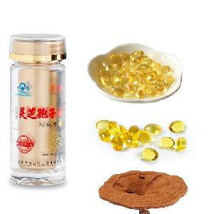 Healthcare Supplement Bulk Ganoderma Lucidum Mushroom Extract Powder Reishi Spore Oil Soft Capsule H
