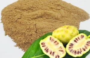 DRIED  NONI   POWDER 