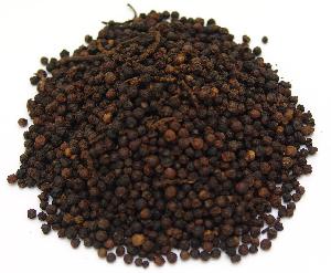 High Quality  Black   Pepper  Seeds for Penja  Cameroon 