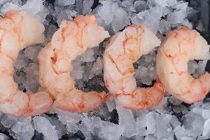 High Quality Frozen Pnd Argentina Red Shrimp IQF Pleoticus Muelleri