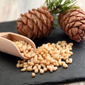 Pinenut Wholesale 100%Pure Natural Wild Northeast Pine Nuts Bulk Vacuum Packing Pine Kernels Prices