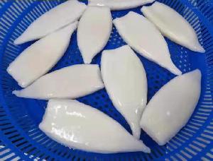 High Quality Various Size Frozen Squid Tubes Todarodes Illex