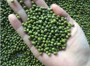 Mung Beans