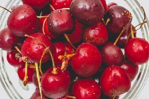 Fresh Dark Red Cherries / Fresh Cherries Fruits For Sale