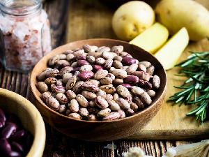 Dried Bean Black Kidney Beans Usage For Human Food