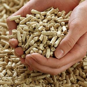 wood pellet biomass  fuel 