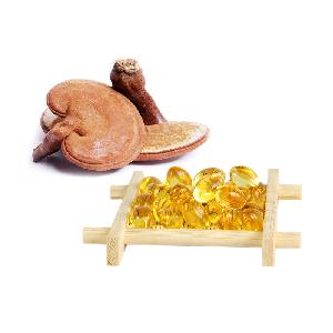 Oem Odm Private Label Factory Supply Organic Inteley Reishi Ganoderma Lucidum Oil Softgel Ganoderma