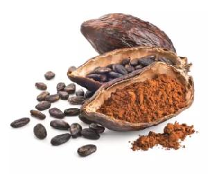 China Bulk 1kg Bag Organic Raw Cocoa Powder for Food Processing
