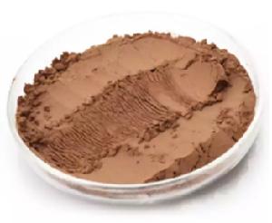 Hot Sale Alkalized / Natural Cocoa Powder