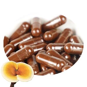 Hot Sale Lucid Ganoderma Reishi Extract Capsules Herbal Supplements Ganoderma Capsule