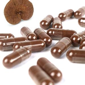 High Quality Health Supplement Ganoderma Lucidum Spores Powder Capsule Lingzhi Mushroom Extract