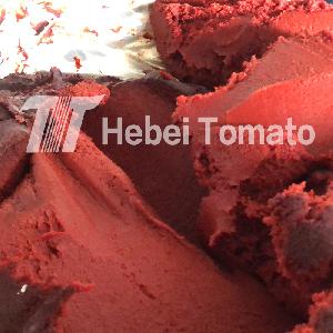 Food Ingredient Natural Colorant Dried Tomato Paste at Factory Price for Seasoning