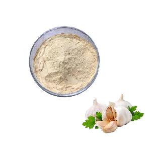 Hot selling dehydrated garlic powder 80-100mesh,100-120mesh with a good price