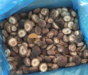 IQF Frozen  Shiitake   Mushroom  Lentinus Edodes