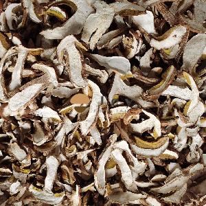 Dehydrated Wild Dried Boletus Edulis Mushroom Porcini