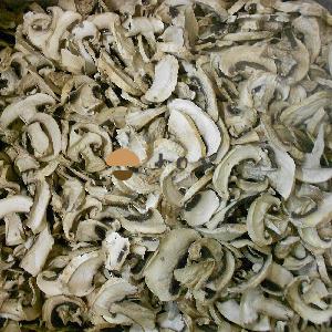 Dehydrated Dried Champignon Mushroom Agaricus Bisporus