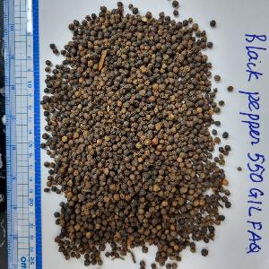 BLACK PEPPER 550G/L FAQ VIETNAM ORIGIN